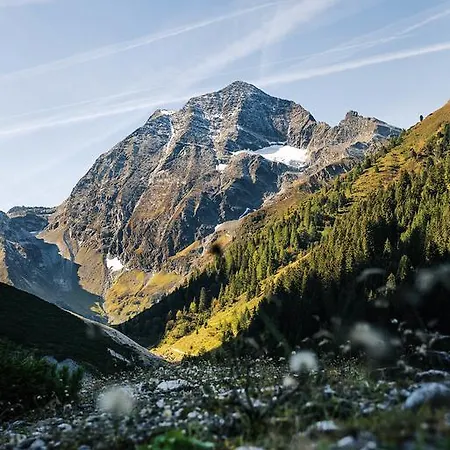 Gasteigerhof ホテル 4*